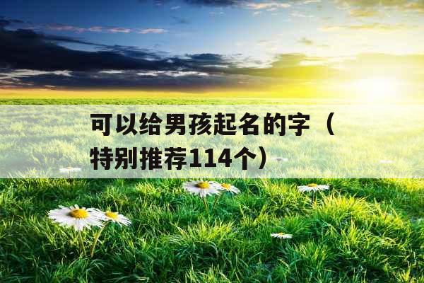 可以给男孩起名的字（特别推荐114个）