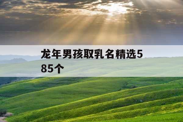龙年男孩取乳名精选585个