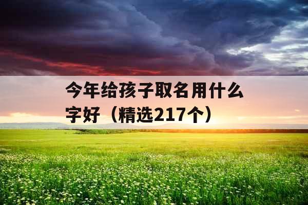 今年给孩子取名用什么字好（精选217个）