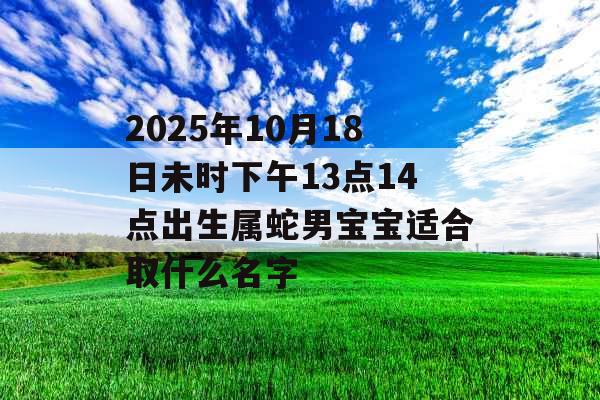 2025年10月18日未时下午13点14点出生属蛇男宝宝适合取什么名字
