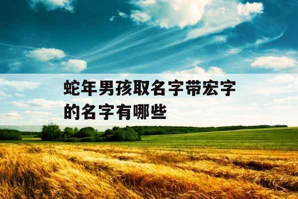 蛇年男孩取名字带宏字的名字有哪些