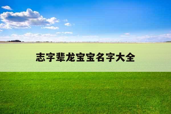 志字辈龙宝宝名字大全