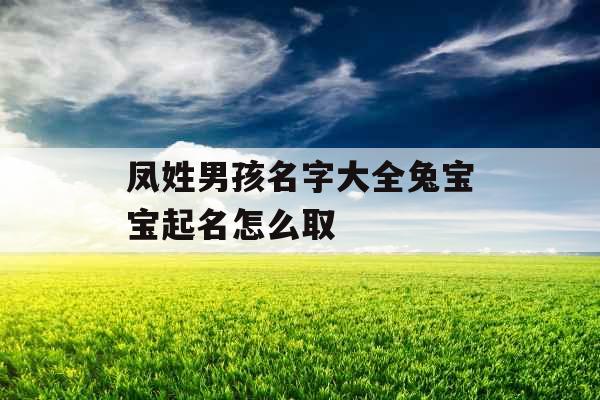 凤姓男孩名字大全兔宝宝起名怎么取 凤姓男孩名字大全兔宝宝起名怎么取