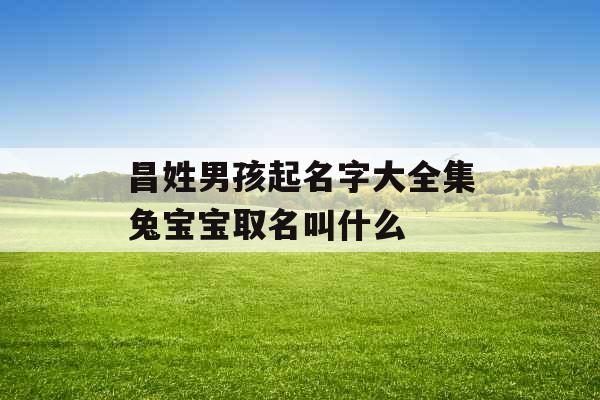 昌姓男孩起名字大全集兔宝宝取名叫什么