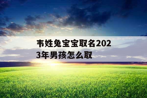 韦姓兔宝宝取名2023年男孩怎么取 韦姓兔宝宝取名2023年男孩怎么取