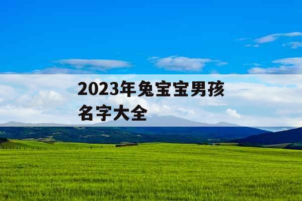 2023年兔宝宝男孩名字大全 2023年兔宝宝男孩名字大全