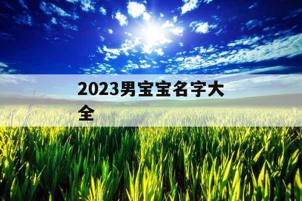 2023男宝宝名字大全 2023男宝宝名字大全
