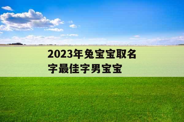 2023年兔宝宝取名字最佳字男宝宝