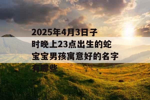 2025年4月3日子时晚上23点出生的蛇宝宝男孩寓意好的名字有哪些 2025年4月3日子时晚上23点出生的蛇宝宝男孩寓意好的名字有哪些