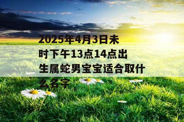 2025年4月3日未时下午13点14点出生属蛇男宝宝适合取什么名字