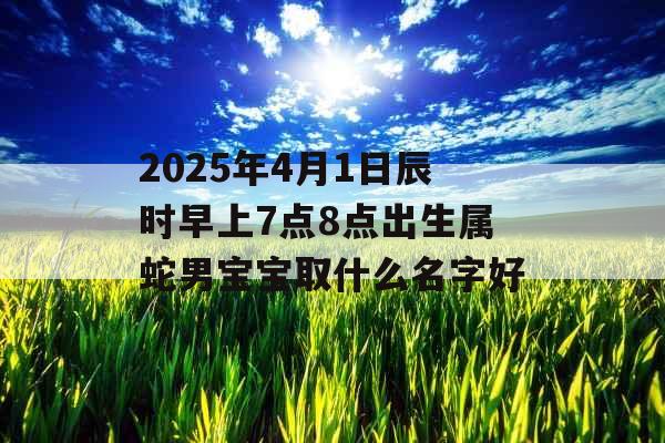 2025年4月1日辰时早上7点8点出生属蛇男宝宝取什么名字好