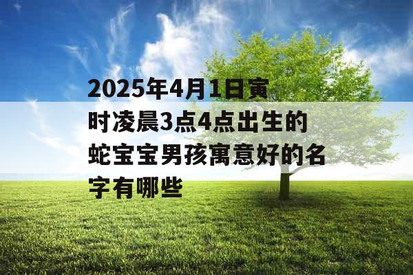 2025年4月1日寅时凌晨3点4点出生的蛇宝宝男孩寓意好的名字有哪些