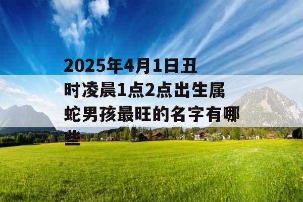2025年4月1日丑时凌晨1点2点出生属蛇男孩最旺的名字有哪些