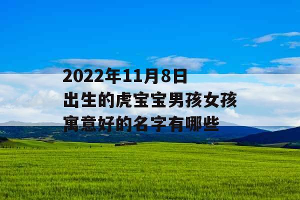 2022年11月8日出生的虎宝宝男孩女孩寓意好的名字有哪些