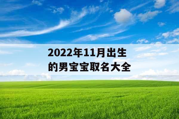 2022年11月出生的男宝宝取名大全 2022年11月出生的男宝宝取名大全