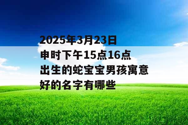 2025年3月23日申时下午15点16点出生的蛇宝宝男孩寓意好的名字有哪些 2025年3月23日申时下午15点16点出生的蛇宝宝男孩寓意好的名字有哪些