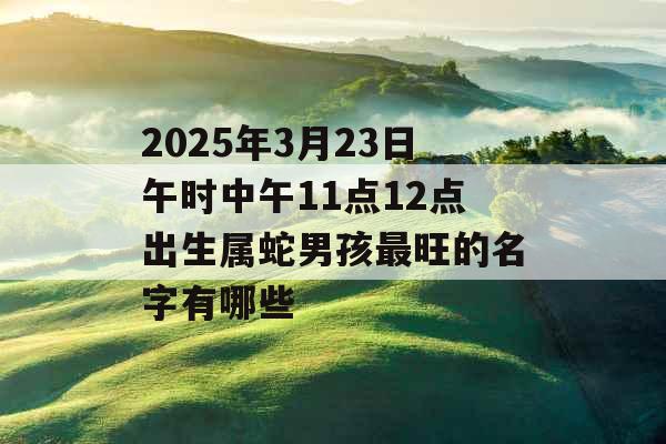 2025年3月23日午时中午11点12点出生属蛇男孩最旺的名字有哪些 2025年3月23日午时中午11点12点出生属蛇男孩最旺的名字有哪些
