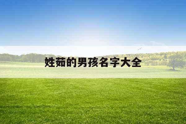 姓茹的男孩名字大全 姓茹的男孩名字大全