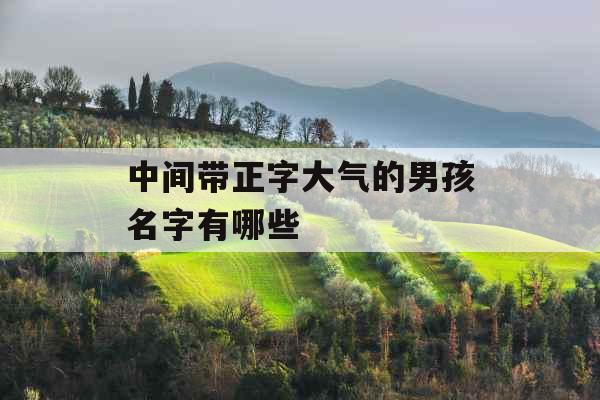 中间带正字大气的男孩名字有哪些 中间带正字大气的男孩名字有哪些