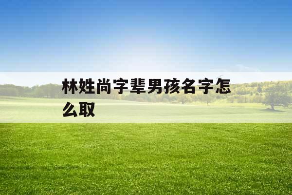 林姓尚字辈男孩名字怎么取