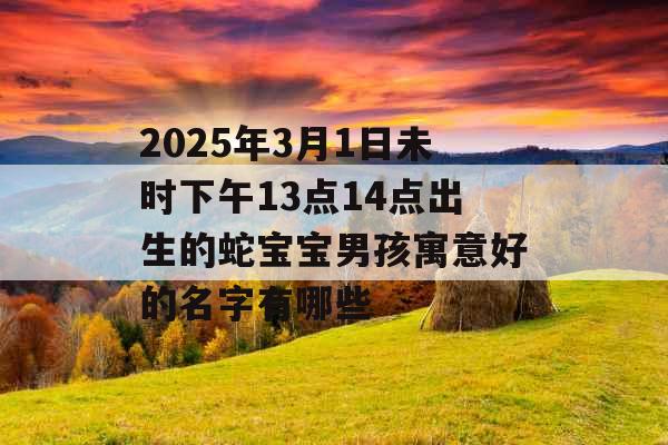 2025年3月1日未时下午13点14点出生的蛇宝宝男孩寓意好的名字有哪些