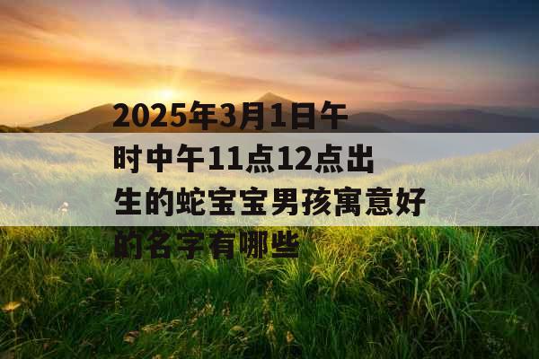 2025年3月1日午时中午11点12点出生的蛇宝宝男孩寓意好的名字有哪些