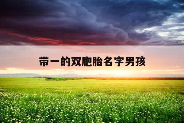 带一的双胞胎名字男孩