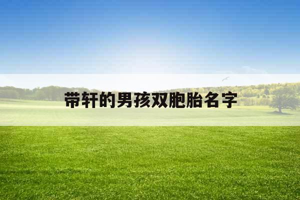 带轩的男孩双胞胎名字