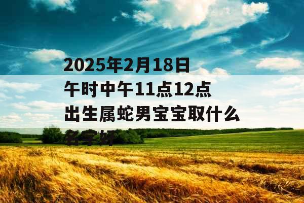 2025年2月18日午时中午11点12点出生属蛇男宝宝取什么名字好 2025年2月18日午时中午11点12点出生属蛇男宝宝取什么名字好