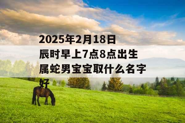 2025年2月18日辰时早上7点8点出生属蛇男宝宝取什么名字好 2025年2月18日辰时早上7点8点出生属蛇男宝宝取什么名字好