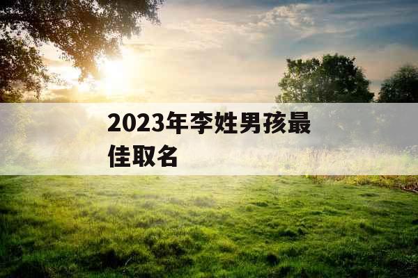 2023年李姓男孩最佳取名 2023年李姓男孩最佳取名