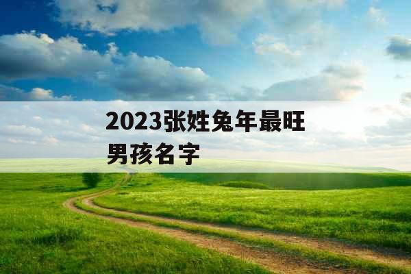 2023张姓兔年最旺男孩名字 2023张姓兔年最旺男孩名字