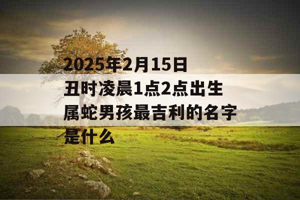 2025年2月15日丑时凌晨1点2点出生属蛇男孩最吉利的名字是什么 2025年2月15日丑时凌晨1点2点出生属蛇男孩最吉利的名字是什么
