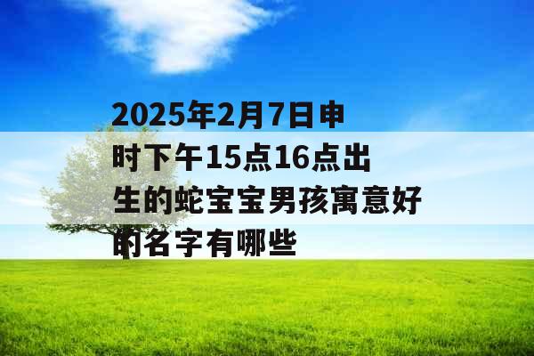 2025年2月7日申时下午15点16点出生的蛇宝宝男孩寓意好的名字有哪些 2025年2月7日申时下午15点16点出生的蛇宝宝男孩寓意好的名字有哪些