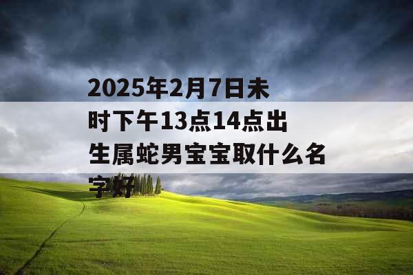 2025年2月7日未时下午13点14点出生属蛇男宝宝取什么名字好 2025年2月7日未时下午13点14点出生属蛇男宝宝取什么名字好