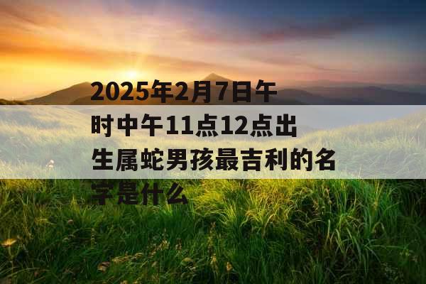 2025年2月7日午时中午11点12点出生属蛇男孩最吉利的名字是什么 2025年2月7日午时中午11点12点出生属蛇男孩最吉利的名字是什么