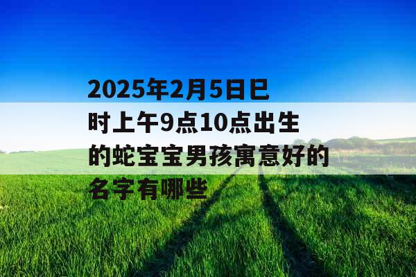 2025年2月5日巳时上午9点10点出生的蛇宝宝男孩寓意好的名字有哪些 2025年2月5日巳时上午9点10点出生的蛇宝宝男孩寓意好的名字有哪些