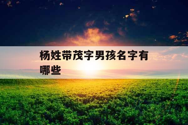杨姓带茂字男孩名字有哪些