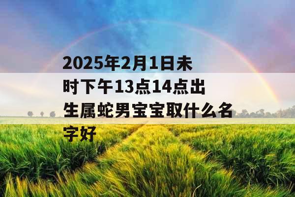 2025年2月1日未时下午13点14点出生属蛇男宝宝取什么名字好