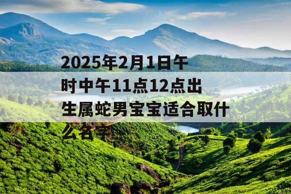 2025年2月1日午时中午11点12点出生属蛇男宝宝适合取什么名字