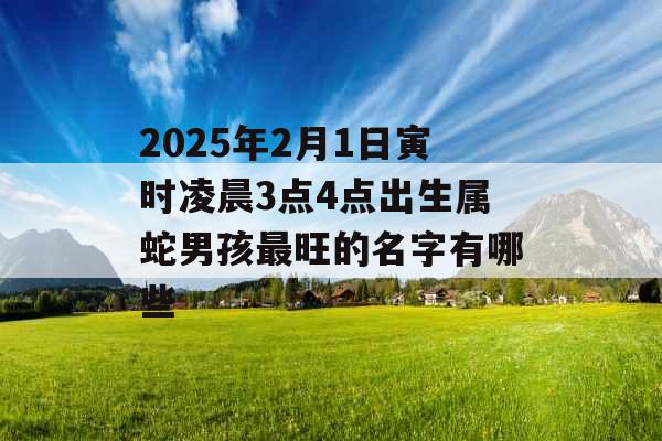 2025年2月1日寅时凌晨3点4点出生属蛇男孩最旺的名字有哪些