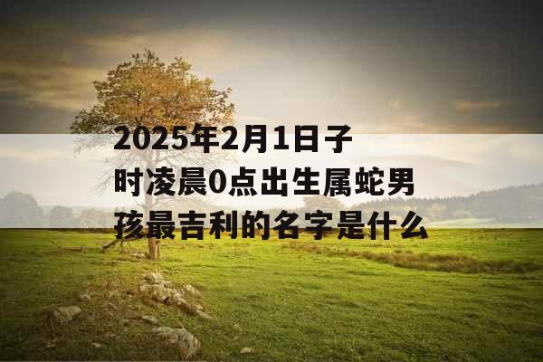 2025年2月1日子时凌晨0点出生属蛇男孩最吉利的名字是什么