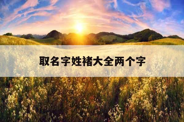 取名字姓褚大全两个字