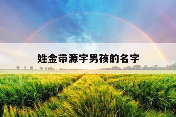 姓金带源字男孩的名字