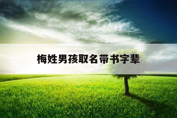 梅姓男孩取名带书字辈
