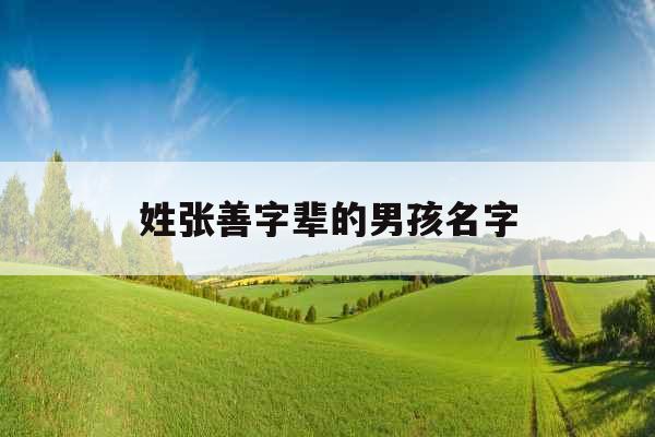 姓张善字辈的男孩名字