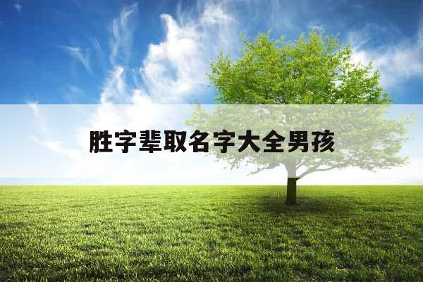 胜字辈取名字大全男孩