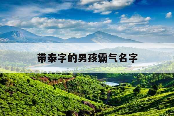 带泰字的男孩霸气名字