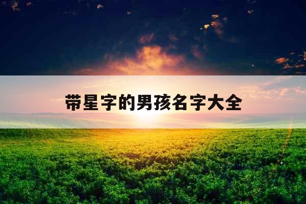 带星字的男孩名字大全