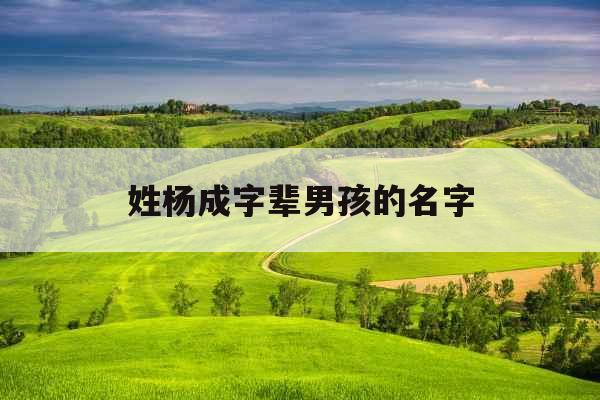姓杨成字辈男孩的名字